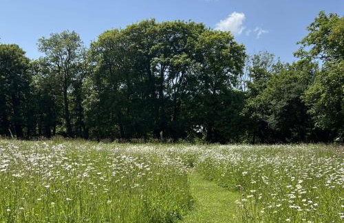 Beauvoir Court Stables - Foto 27