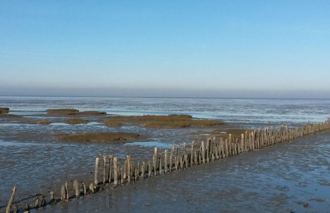 Slanitz Modern Retreat - Foto 28