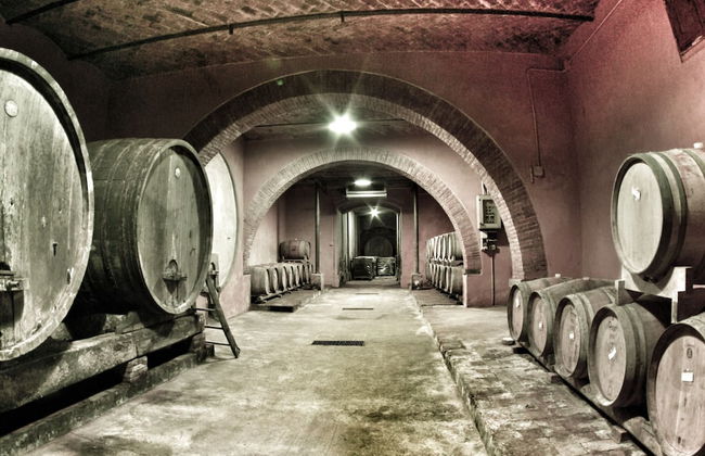 Fattoria Santa Vittoria Apartment Gazza - Foto 17