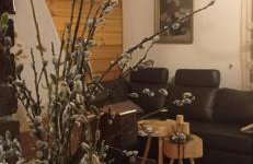 Siedlisko Gruszki Puszcza Białowieska - Foto 9