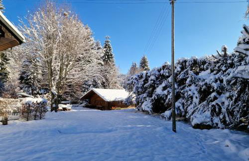 Altes Zollhüsli - Foto 14