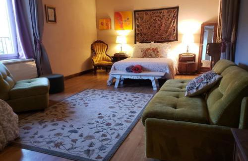 3 Apts Moulin SAGE - Foto 14