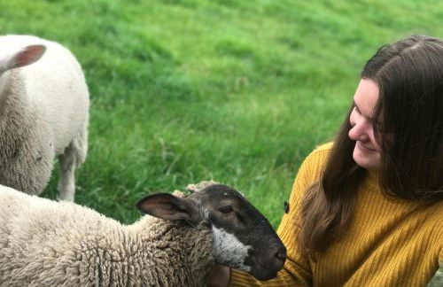 Lodge Cabin with Fabulous Views - Farm Holiday - Foto 49