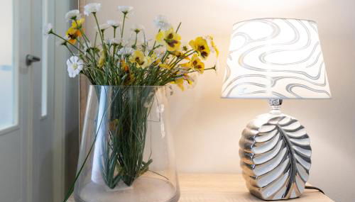 Todimer Celmar - Foto 4