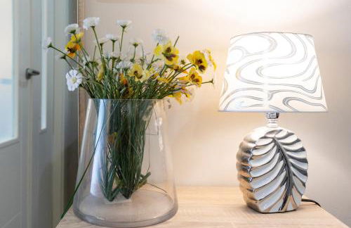 Todimer Celmar - Foto 4