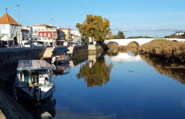 Casa dos Pais - Photo 74