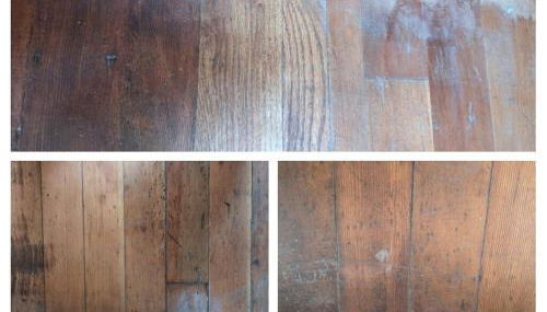 Plant House - Foto 4