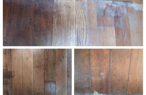 Plant House - Foto 4