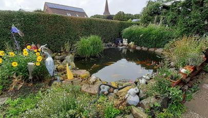 Ferienwohnung-Wildblume - Photo 2