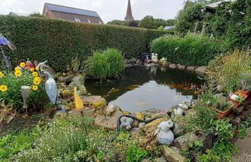 Ferienwohnung-Wildblume - Foto 2