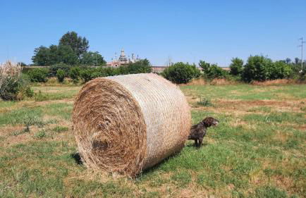 MUSEO GAR-AgriHotel - Foto 36