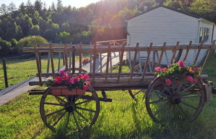 Haus Eselsblick - Foto 11