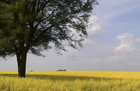 Ferienwohnung leinelume - Foto 16