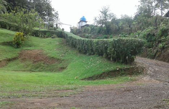 Drake Lapas - Foto 24