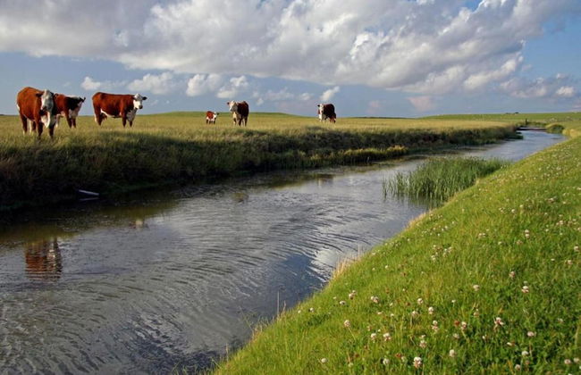 Holiday Home Near Wadden Sea & Elfsteden Path - Foto 34