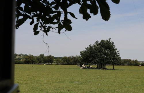 Chestnut Cottage - Foto 8