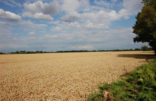 Maple Gardens Studio - Foto 28