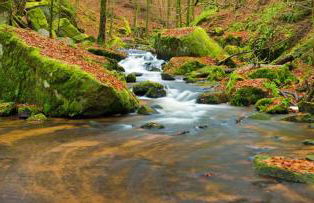 Ferienwohnung Waldnest - Photo 21