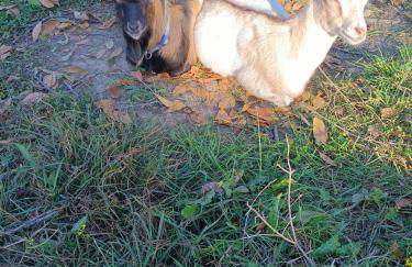 A Ca du Giaba - Foto 18