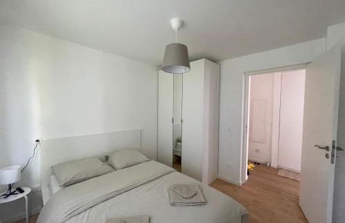 Olivier du ciel ODC - Photo 10