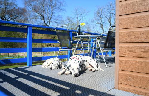 Glen Bay - 2 Bed Lodge on Friendly Farm Stay with Private Hot Tub - Foto 18