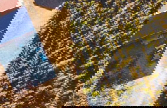 Denali Wild Stay - Foto 75