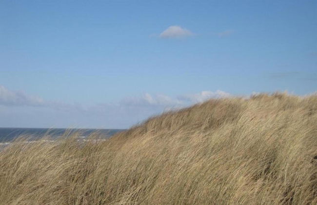 Cozy Chalet for Couples - Photo 19