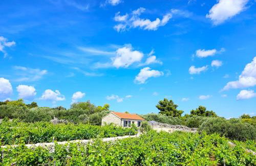 Stone house in vineyard - Photo 10