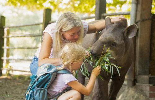 Tierpark Entdeckerhäuser - Foto 7