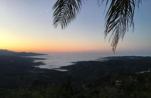 Casa Rural Finca Volando in the mountains of Málaga - Foto 71