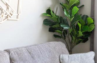 Near Flint Hills Discovery Center & Aggieville - Foto 19