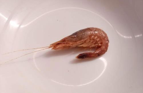 Landhaus Sonnenglück - Foto 21