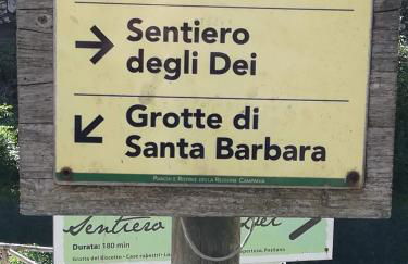 Hakuna Matata tra sentieri - Foto 46