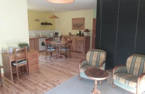 Studio 45m2, à la campagne, à 15 mns du Puy en Velay - Foto 5