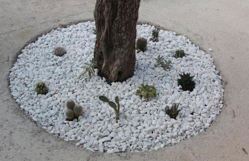 AGAS Exclusive Apartment - Foto 32