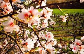 La perle de Gordes - Photo 67