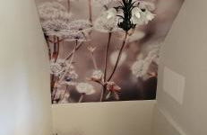 Haus Pusteblume - Foto 15