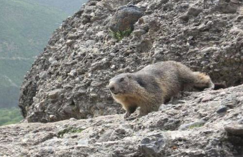 Apartment LA ROCHETTE free parking on site - Foto 5