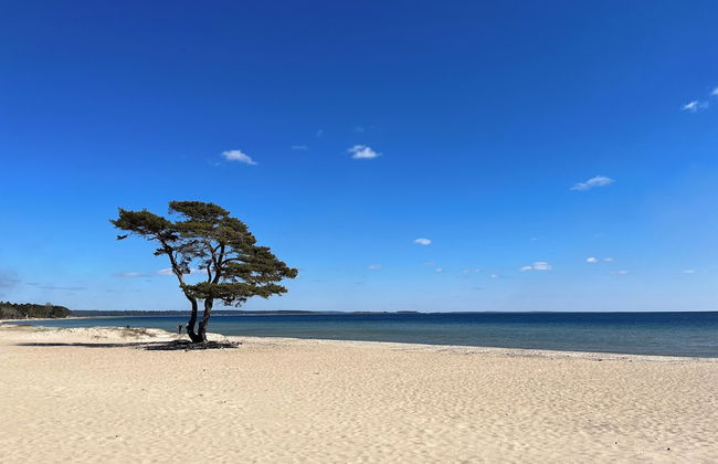 Åhus Brygga Apartment Hotel - Foto 36