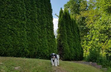 Ferienwohnung Jansen - Foto 31