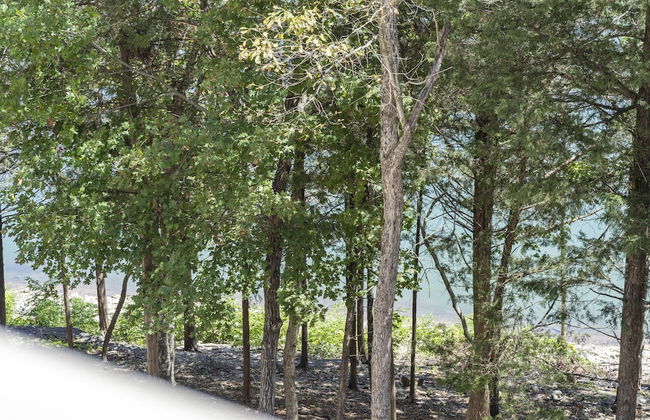 Serene Escape at Table Rock Lake - Photo 35