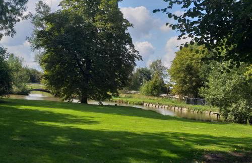 Austernfischer - Photo 8