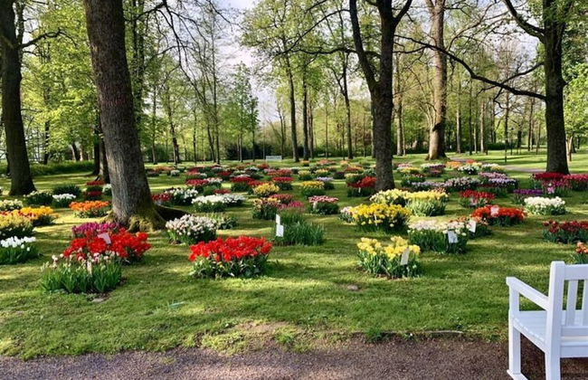 Holiday Apartment Lohr-drewes 2 - Foto 19