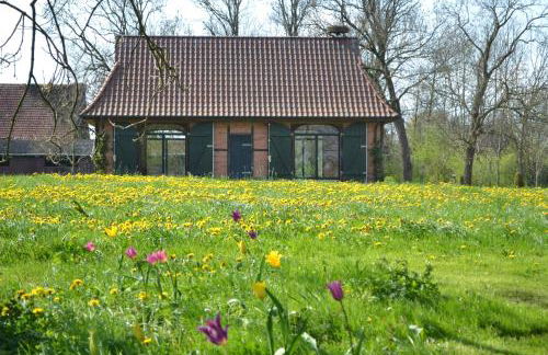 Remise unter dem Storchennest - Foto 1