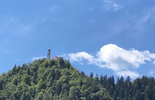 Holiday Guesthouse La Casina di Butzi pet friendly - Terme di Arta - Zoncolan - Foto 30