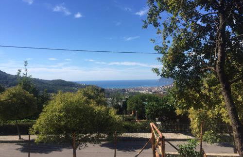 Il cipresso - Photo 21