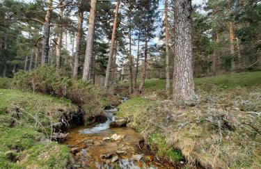 Apartamento con encanto Puerto de Navacerrada - Foto 17