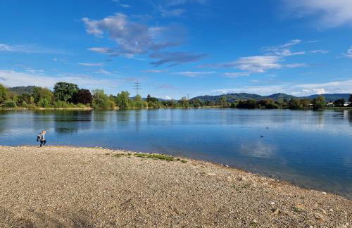 Poolhaus mit Sauna und Kamin - Offenburg, Straßburg, Europapark - Foto 27