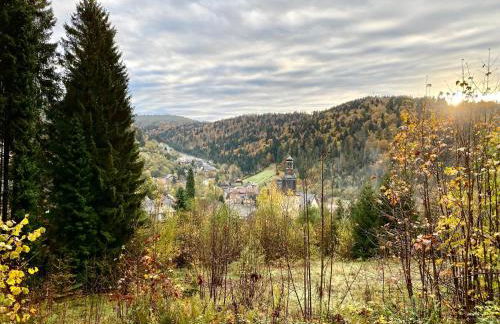 Apartment-Chalet Panorama - Foto 51