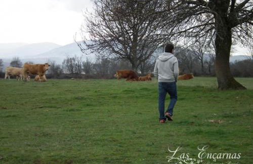 Las Encarnas - Foto 10